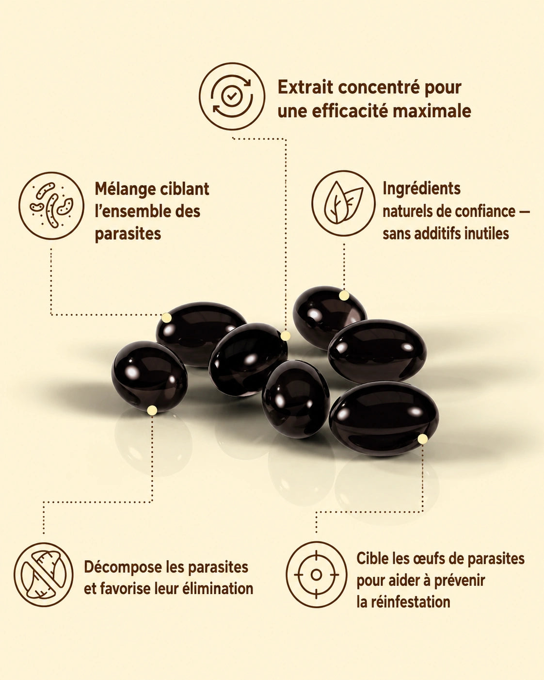 Éliminez les parasites et les larves cachés en seulement 14 jours grâce à l’armoise, la noix noire et au clou de girofle.