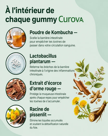 Gummies au Kombucha avec Probiotiques pour le Confort Digestif