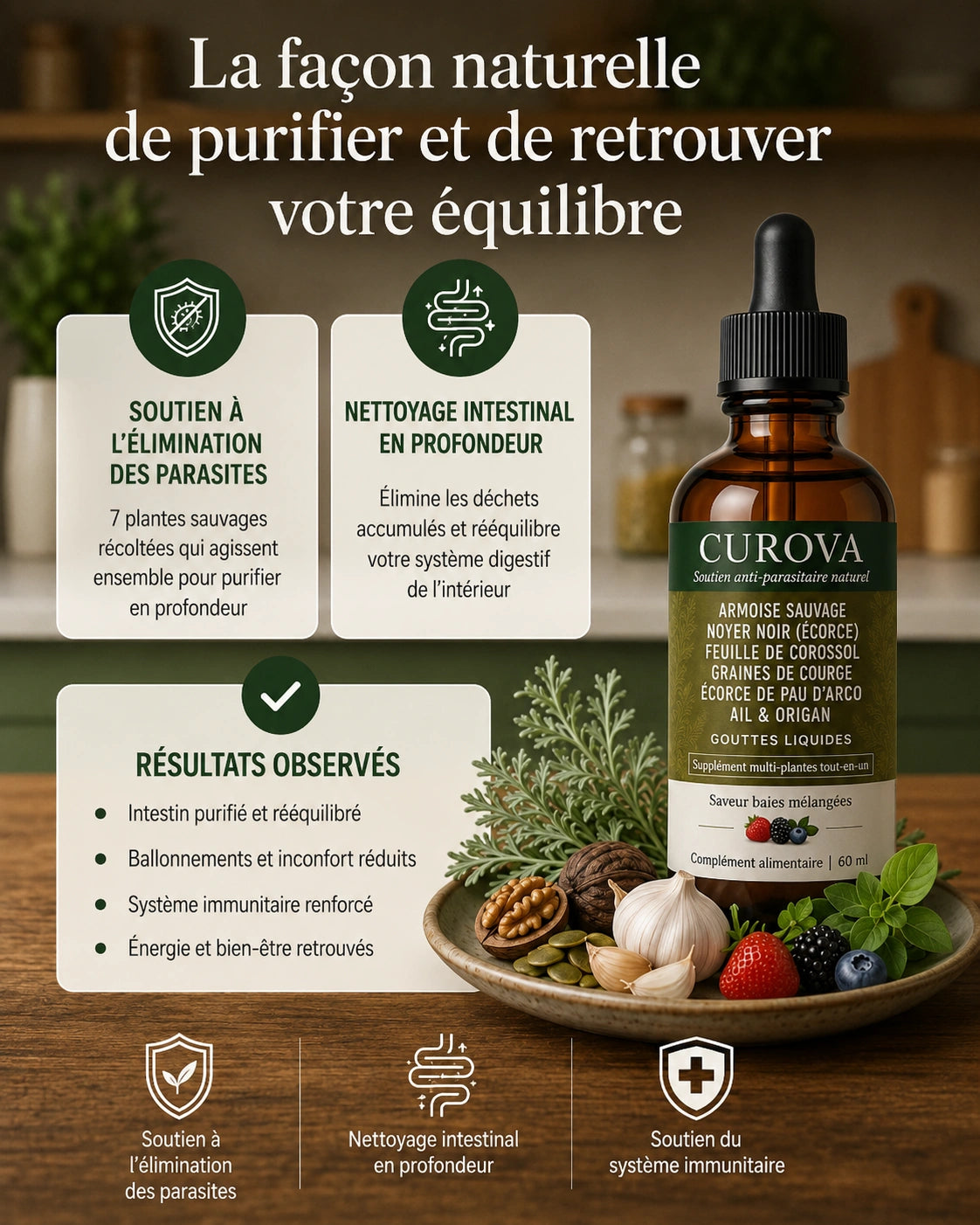 CUROVA — Gouttes d’Armoise cueillie à l’état sauvage