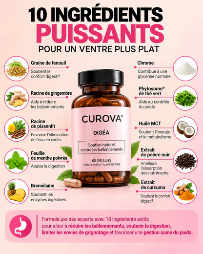 Curova-DIGÉA™ – Complexe Anti-Ballonnements & Confort Digestif