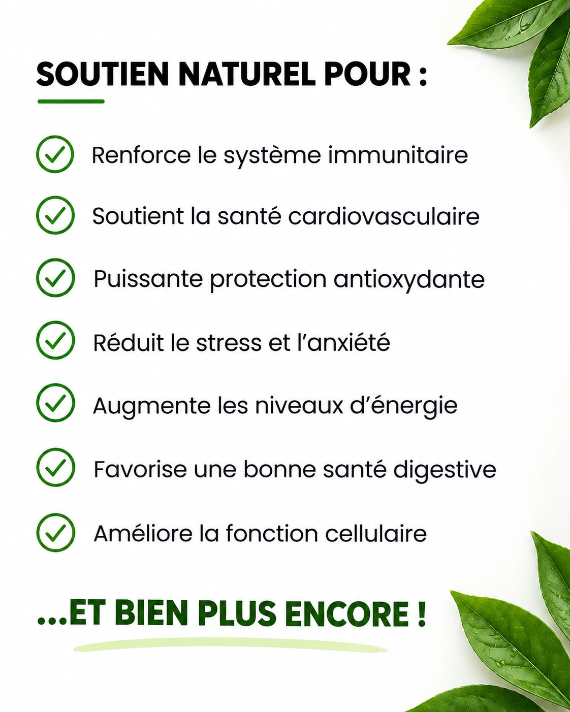Curova- Gommes de Corossol 100 % Bio et Naturelles