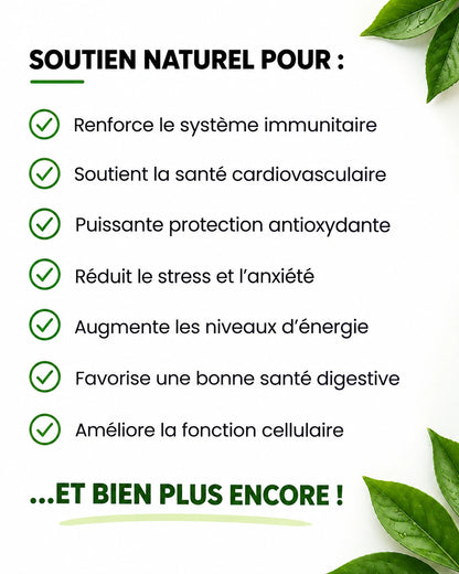 Curova- Gommes de Corossol 100 % Bio et Naturelles