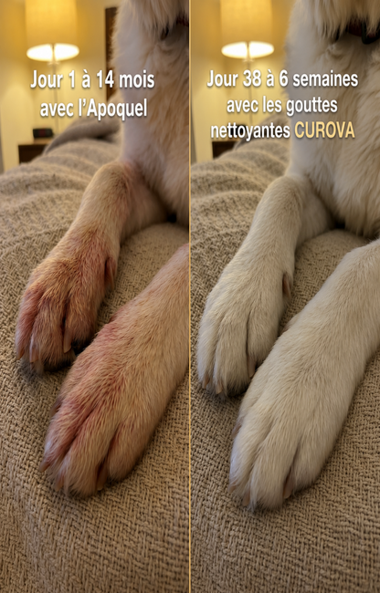 Amélioration des symptômes en l'espace de deux semaines