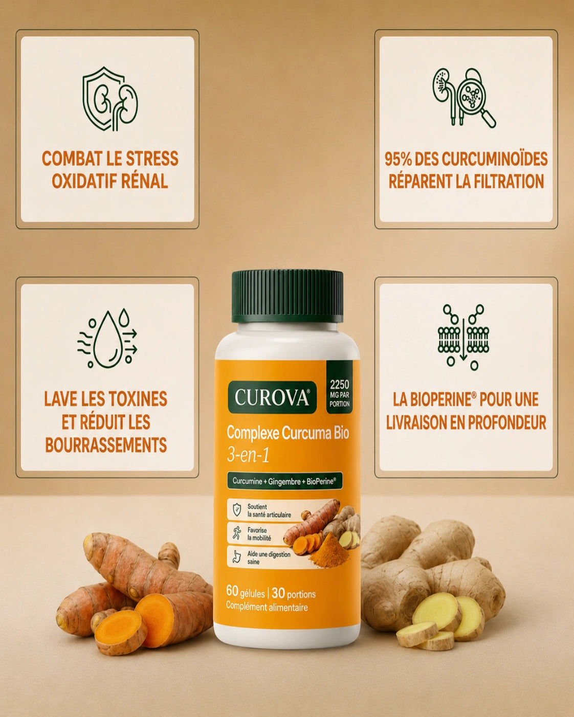 Curova Curcuma Bio™ 2250 mg | Formule sans oxalates pour soutenir la santé rénale