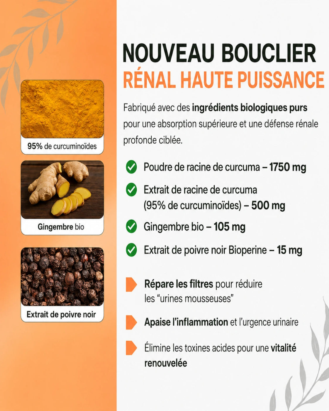 Curova Curcuma Bio™ 2250 mg | Formule sans oxalates pour soutenir la santé rénale