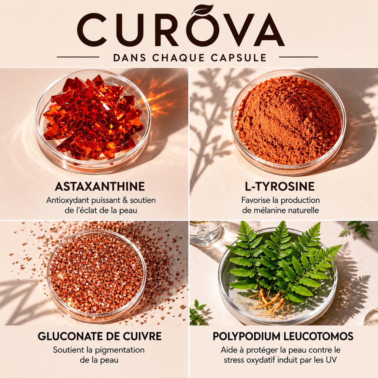 Capsules autobronzantes