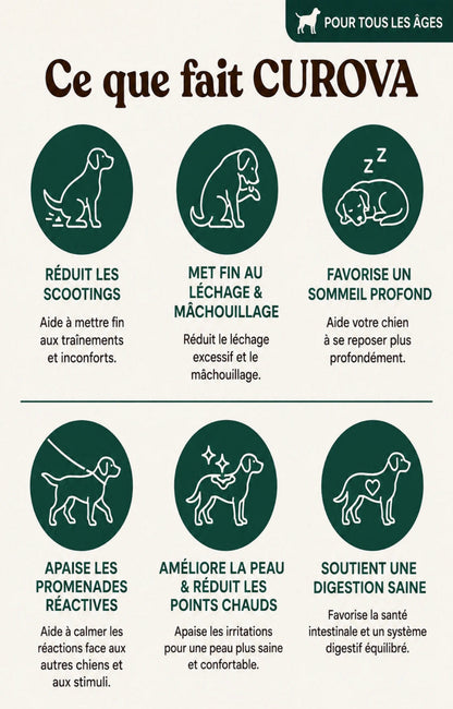 Amélioration des symptômes en l'espace de deux semaines