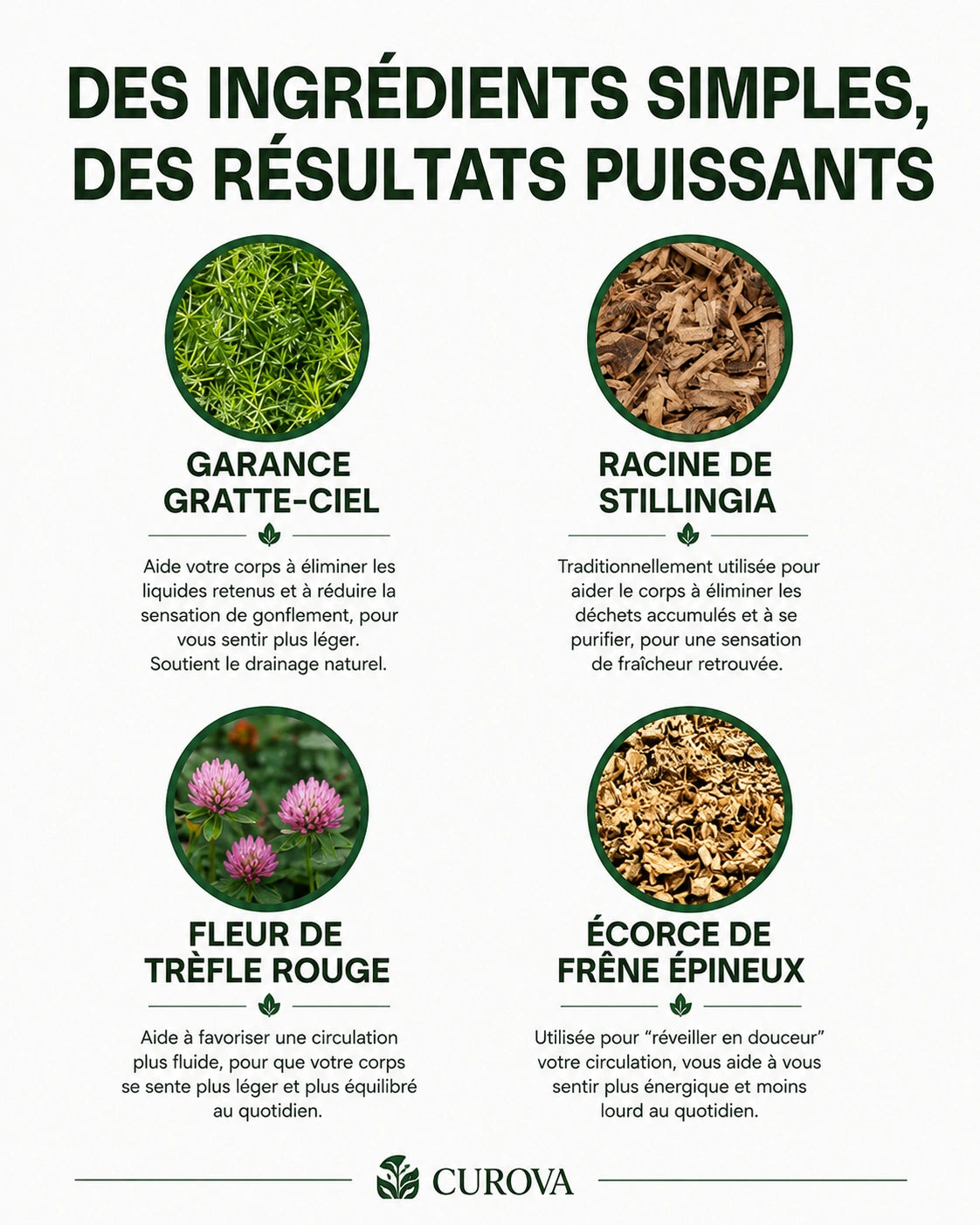 Gouttes de drainage lymphatique Curova