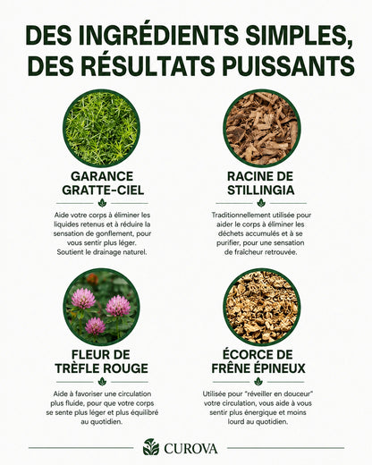 Gouttes de drainage lymphatique Curova