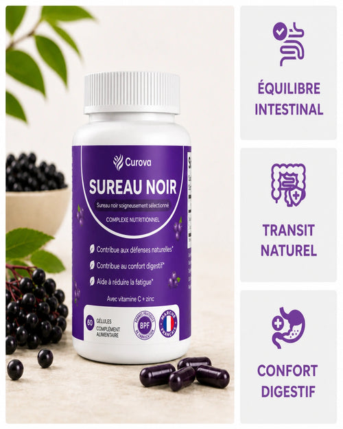 Curova – Complexe confort digestif au sureau noir, zinc et vitamine C – Complément alimentaire