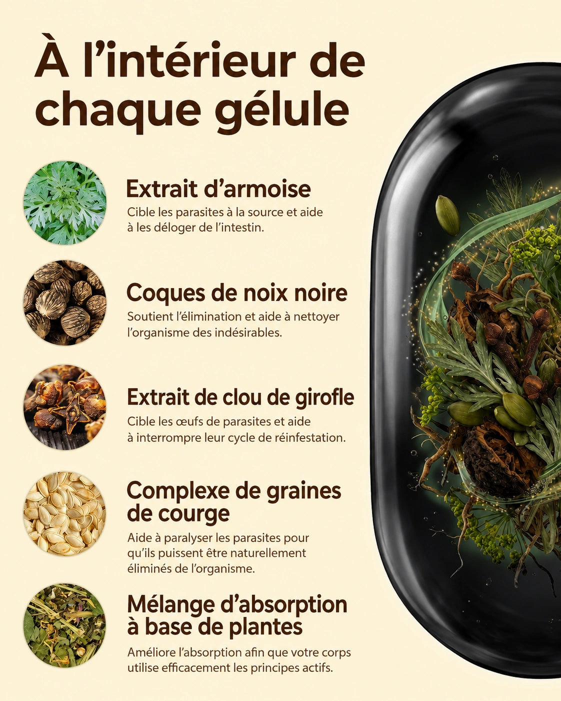 Éliminez les parasites et les larves cachés en seulement 14 jours grâce à l’armoise, la noix noire et au clou de girofle.