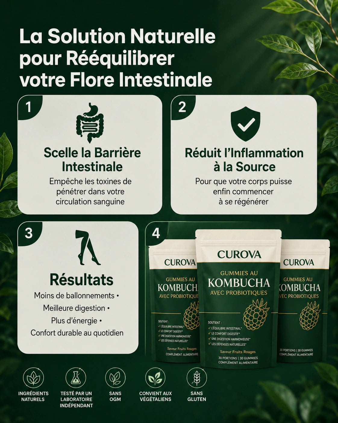 Gummies au Kombucha avec Probiotiques pour le Confort Digestif
