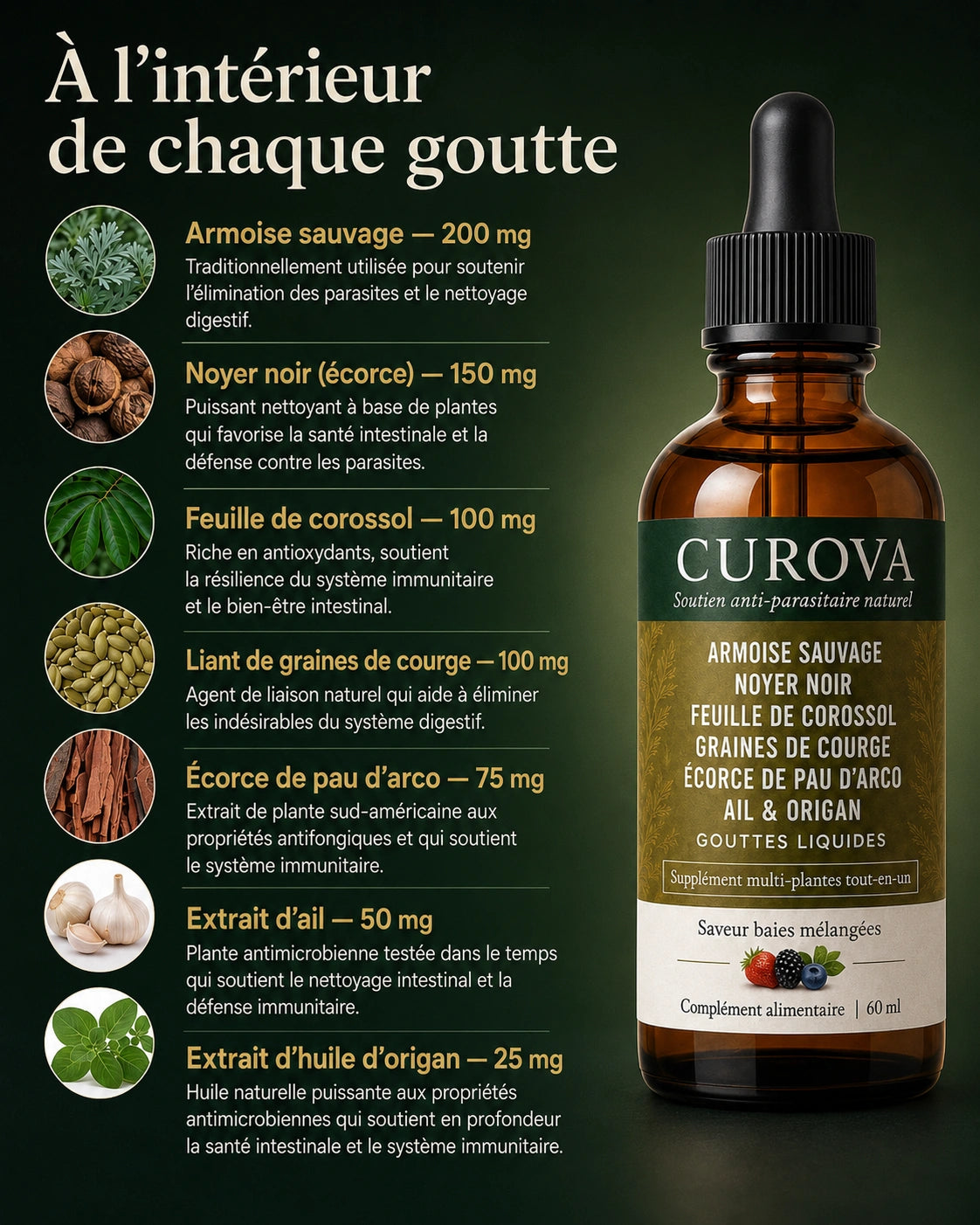 CUROVA — Gouttes d’Armoise cueillie à l’état sauvage