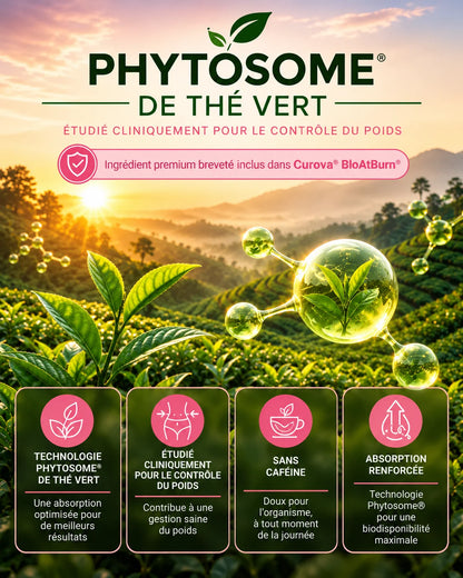 Curova-DIGÉA™ – Complexe Anti-Ballonnements & Confort Digestif