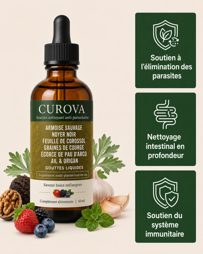 CUROVA — Gouttes d’Armoise cueillie à l’état sauvage
