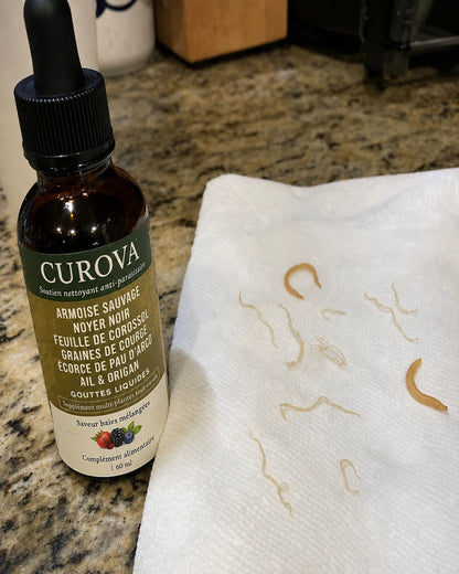 CUROVA — Gouttes d’Armoise cueillie à l’état sauvage
